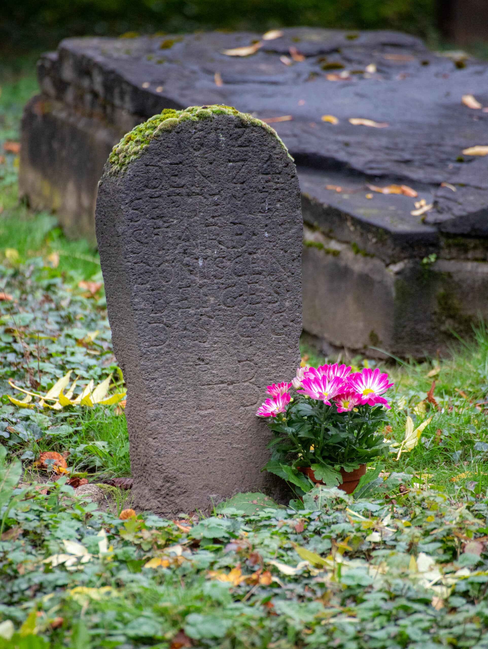 Gepflegte Grabstätte mit Blumen